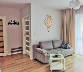Apartament Miodowa w Straconce